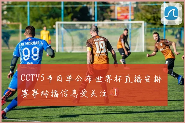 CCTV5节目单公布世界杯直播安排 赛事转播信息受关注_1