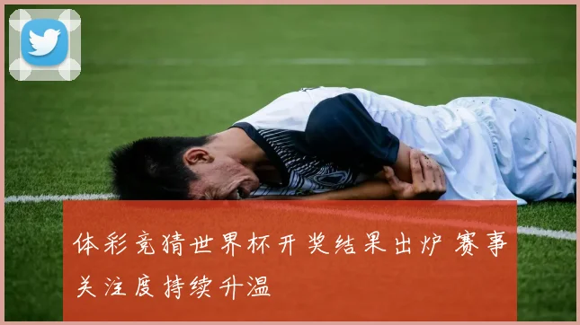 体彩竞猜世界杯开奖结果出炉 赛事关注度持续升温