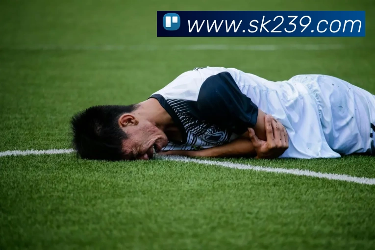 爱体育官网app下载服务体系